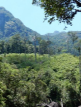madagascar_climat_aires_protegees_foret.png