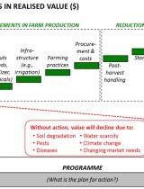 madagascar_marche_agri.jpg