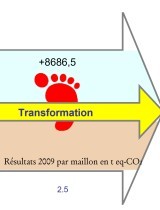 carbone_cajou_burkina_agroprocessing.jpg