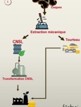 cajou_burkina_biomasse_energie_process_agri_agro.jpg