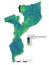 moz_teledetection_foret_climat_foret_degradation.jpg