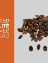 cacao_cote_agri_agroprocessing_boite.jpg