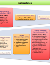 160906_facteurs_deforestation_ci.png