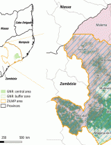 PDF) O contexto do REDD+ em Moçambique: causas, actores e instituições