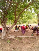 burkina_bio_agro_agri_climat.jpg