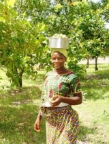 karite_parc_burkina_agri_foret_biodiv.jpg