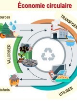 dechets_biomasse_burkina_bio_energie_economie_circulaire.jpg