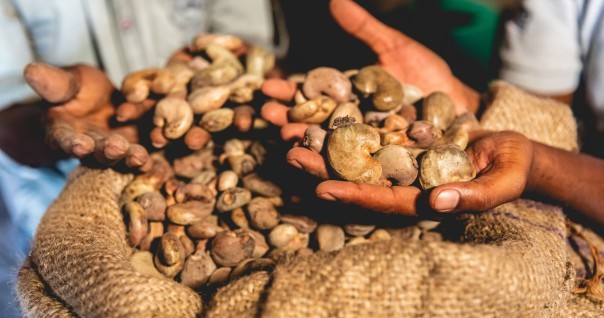 noix_de_cajou_mozambique_marche_agriculture.jpg