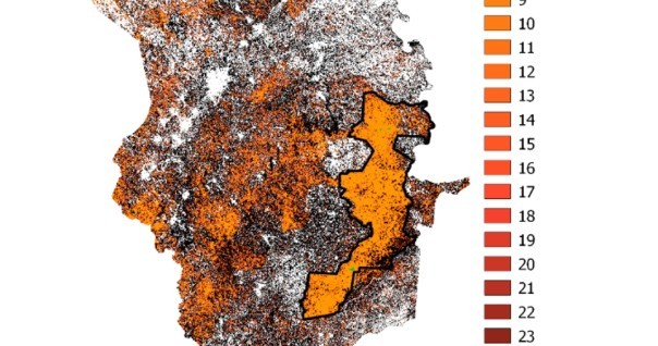 mabi_yaya_carbon_redd_cote_foret_climat.jpg