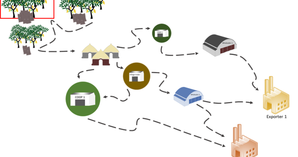 cacao_schema_transparence_tracabilite_cote_ghana_marche_foret_deforestation.png