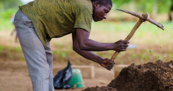 fumier_compost_agroeco_bio_compost_agri.jpg