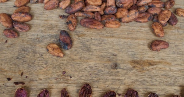 cacao_cote_agri_agroprocess_biodiv_foret_marche.jpg