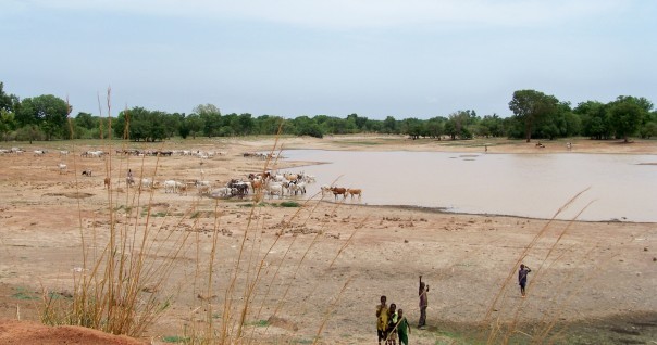 burkina_conservation_foret_paysage.jpg