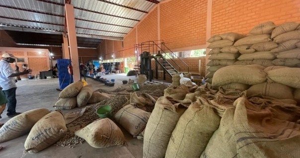 caou_senegal_marche_usine.jpeg