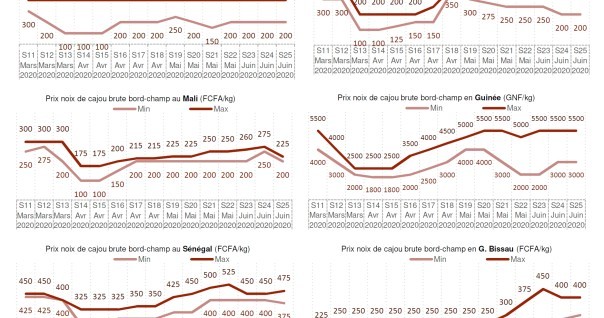 cajou_togo_stat_graph_marche.jpg