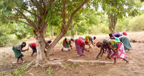 burkina_bio_agro_agri_climat.jpg