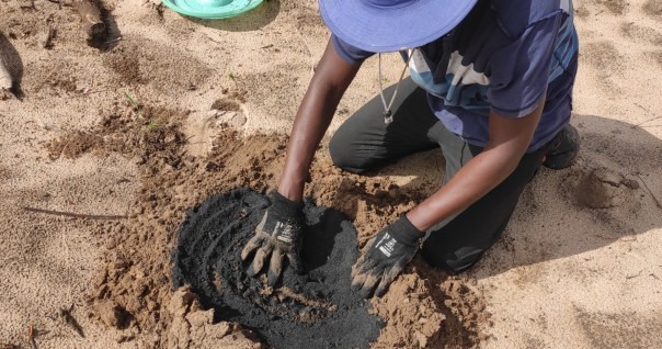 biochar_moz_agri_cajou_bio_energie.jpg