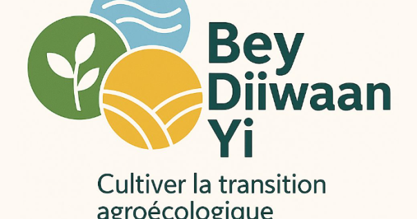 bey_diiwaan_yi.png