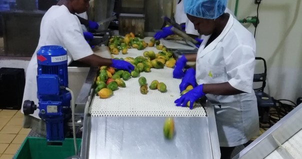 burkina_mangue_marche_process_transfo_machine_dechets.jpg