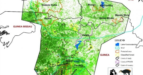 guinee_nature_ue_conservation_faune.jpg