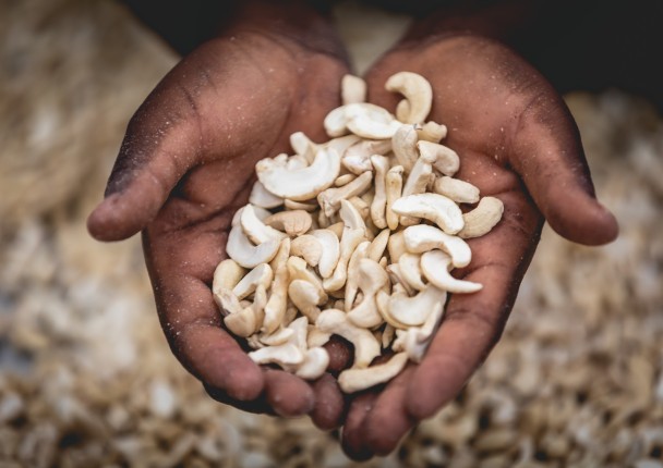 noix_de_cajou_anacarde_giz_prociv_togo_agriculture_marche_.jpg