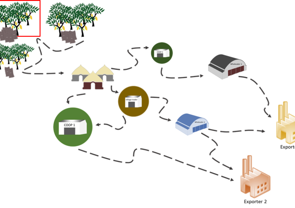 cacao_schema_transparence_tracabilite_cote_ghana_marche_foret_deforestation.png