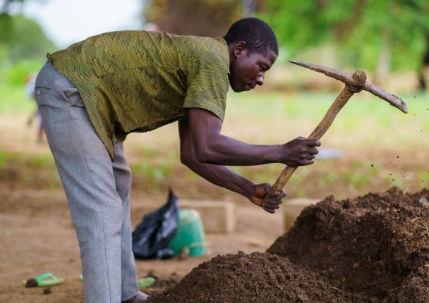 fumier_compost_agroeco_bio_compost_agri.jpg