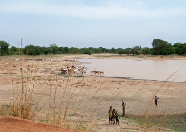 burkina_conservation_foret_paysage.jpg