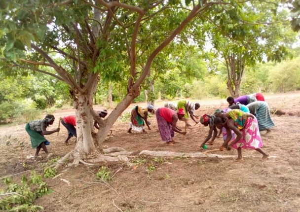 burkina_bio_agro_agri_climat.jpg