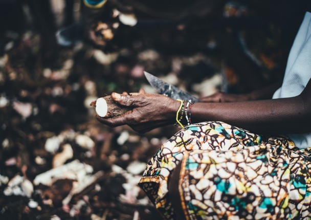 manioc_unsplash.jpg