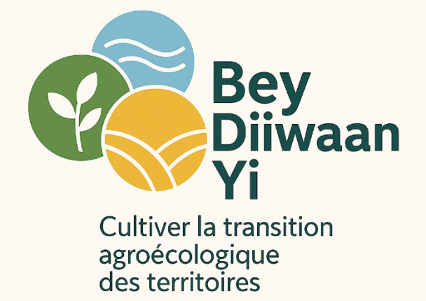 bey_diiwaan_yi.png