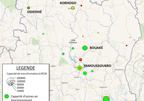 cajou_cnsl_agroprocessing_climat_marche_cote.png