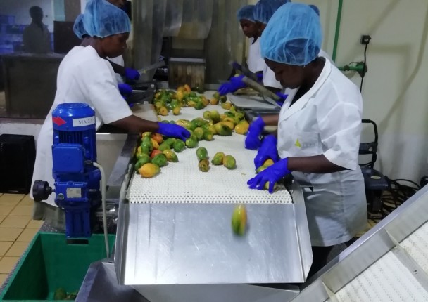 burkina_mangue_marche_process_transfo_machine_dechets.jpg