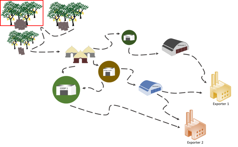 cacao_schema_transparence_tracabilite_cote_ghana_marche_foret_deforestation.png