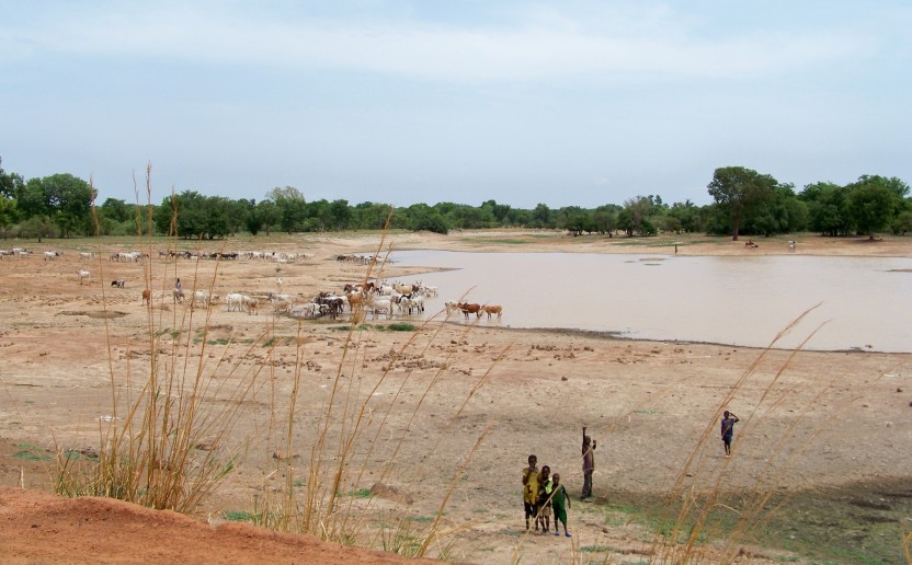 burkina_conservation_foret_paysage.jpg