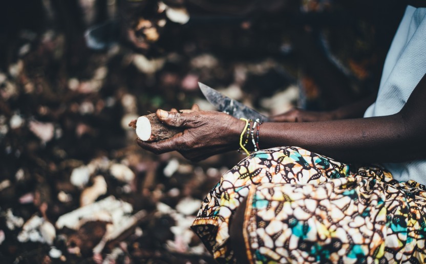 manioc_unsplash.jpg