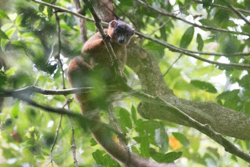 actu_beampingaratsy_madagascar_foret_climat_stage_lab.jpg