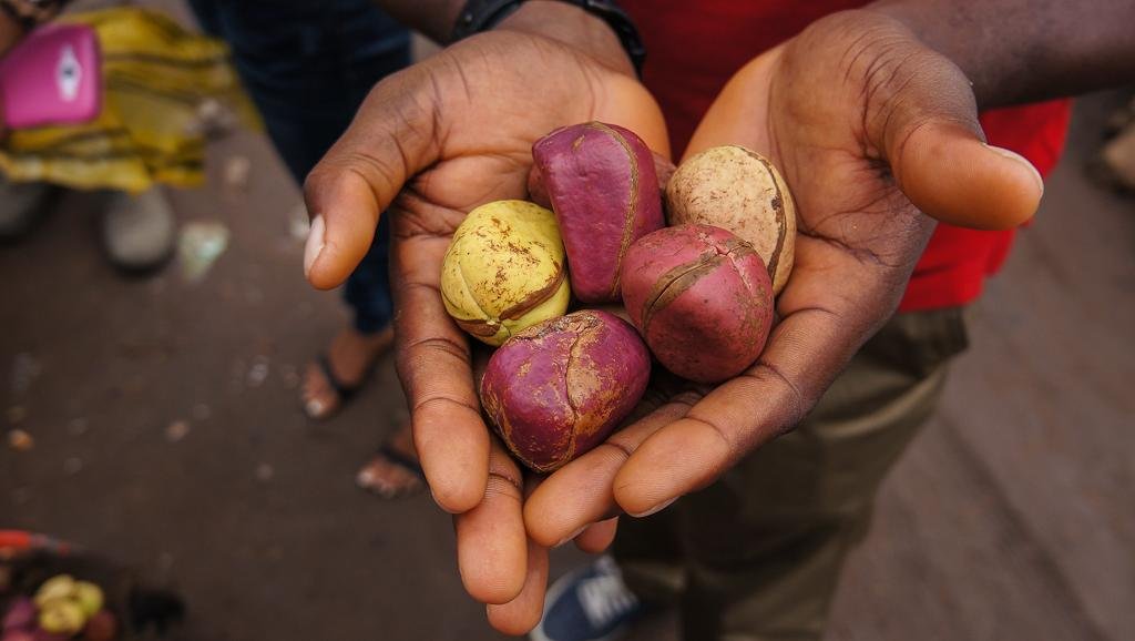 nigeria_cola_nuts_0.jpg