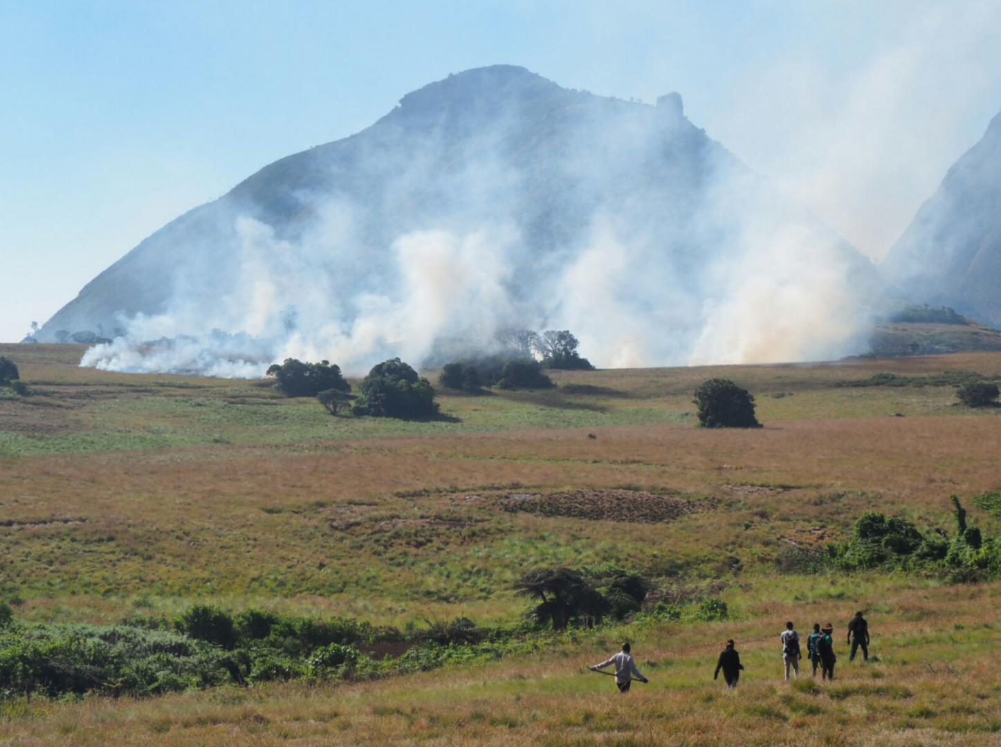 namuli_mozambique_foret_marche.png