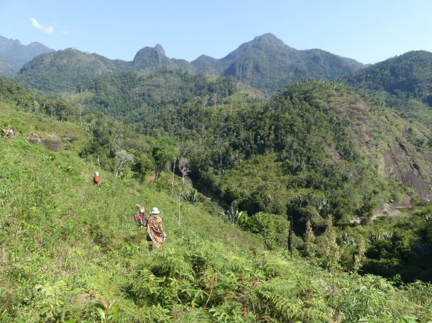 madagascar_degradation_foret_climat_teledetection_agri.jpg