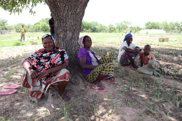 burkina_agriculture_sesame.jpeg