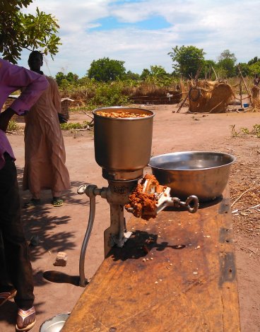 arachide_tchad_agri.jpg