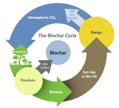 Cycle du biochar
